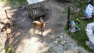 Ferienwohnung Kreuzkogler - 6