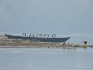 Temple chital homestay, safari and yoga - 2