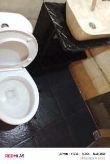 glamping royal mulia - 2