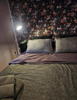 Central Studio, Romană - 6