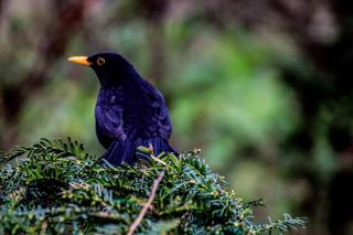 Lovely Spacious Apartment - 8