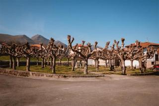 La Caleyona 1 a 5 kilómetros de Llanes y de la playa - 7