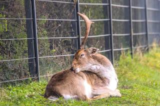 Lovely Spacious Apartment - 7