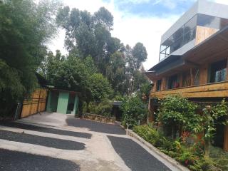 Palenque Volcanoes - 1