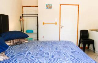 Rosy Palm Sunrise - 6