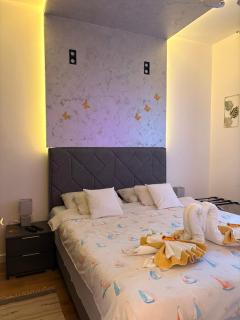 Apartman Marjanović Palić - 6