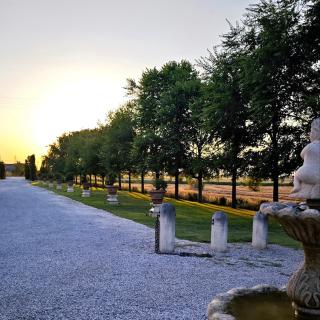 Agriturismo Villa Anconetta - 7