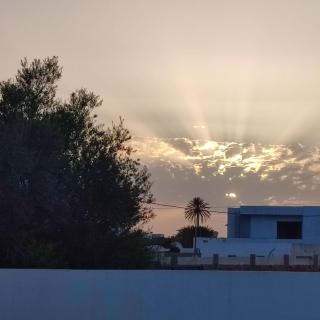 Maison Les Oliviers avec piscine proche du lagon - 8