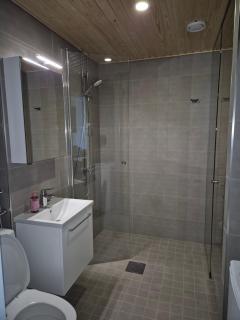 1st floor, 33m2 1-bedroom app, sauna, close to the shop, airport and train station - 7