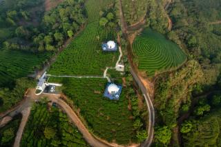 Bemyguezt Pendora Glamps - 5