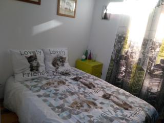 Maison avec jardinet terrasse centre ville Nancy - 6