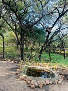 Kruger Afrique Lodge - 1