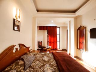 THE GRAND PLAZA - A Vintage Rooms By Organica Group - 1