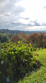 Finca Hotel alto de la gloria Filandia La tierra del encanto - 5