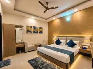 Sky Nest Plaza Inns Near Delhi International Airport - 1