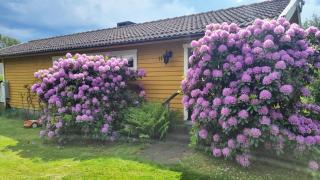 Drömstuga nära havet i Frillesås SE02120 - 7