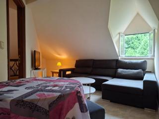 Oasis Ponte San Lázaro - 8