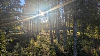 Nature Escape with Workspace Tiny House for Two - 6