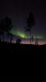 Cozy house in nature near ski resort Romme Alpin - 1