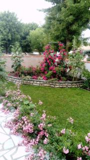 Chambre d'hôtes jasse perdrix - 5