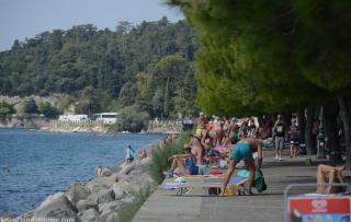 Trieste Sea Life - 3