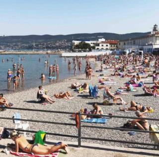 Trieste Sea Life - 7