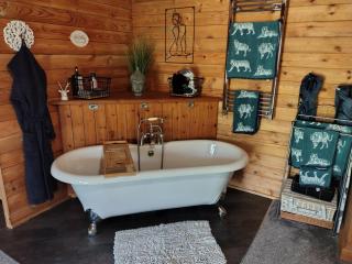 Forest Cabin Retreat - Sleeps 2 - Wifi & Garden - 8