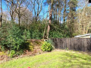 Forest Cabin Retreat - Sleeps 2 - Wifi & Garden - 3