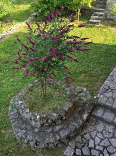 Villa del Poggio - 2