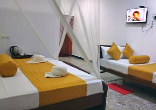 The Blue Crest -Ella - 4