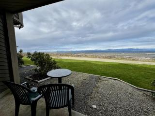 Beachfront King Bed Studio Suite - 4