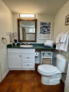 Beachfront King Bed Studio Suite - 1