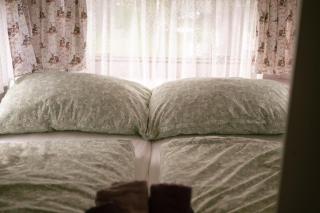 Dani's Wohnwagen B&B - 9