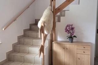 Henrik's Ferienwohnung - 6