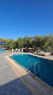 Appartement Les Oliviers avec piscine proche du lagon - 5