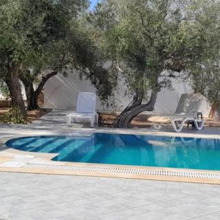 Appartement Les Oliviers avec piscine proche du lagon - 4