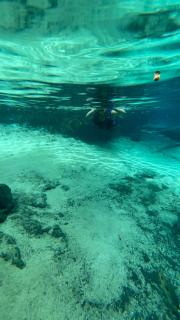 Suite Versailles - 6