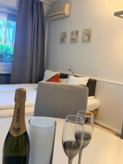 Holiday on The Lake Lugano 2 - 8