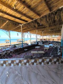 The Sea side camp nuweiba - 7