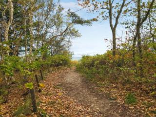 Holiday Home Hjort - 100m from the sea by Interhome - 6