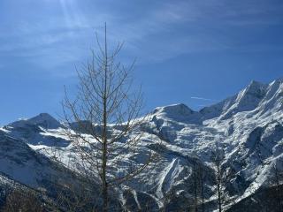 Apartment Bergfreude by Interhome - 2