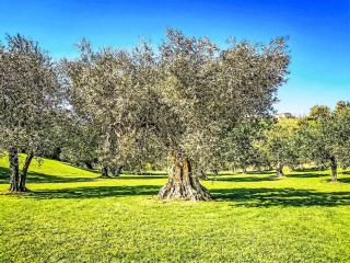 Holiday Home Velia's House by Interhome - 5