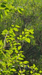 Residencia La Serena Amor por la naturaleza - 6