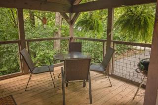 Celina Cabin Nature Cabin Near Downtown Chattanooga - 4