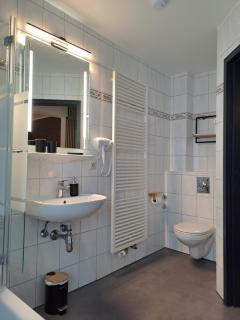 Hotel Winterberg Resort - 5