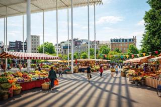 SLEEP INN - Arizona flat with cityview - 5