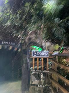 Batu Katak Jungle River & Trekking - 1