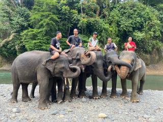 Batu Katak Jungle River & Trekking - 2
