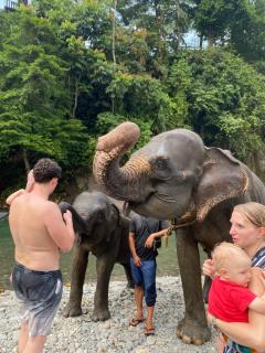 Batu Katak Jungle River & Trekking - 8