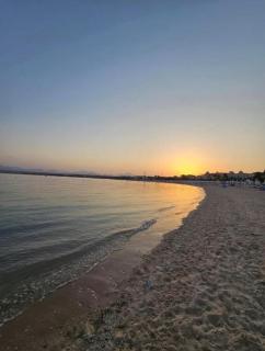 sahlhashesh edelma apartment - 9